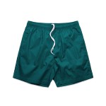 Beach Shorts 17'